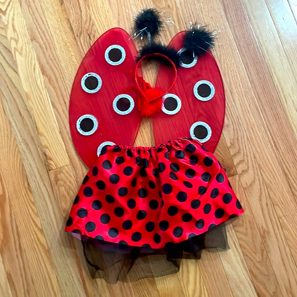 Girls Ladybug Costume